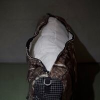画像2585