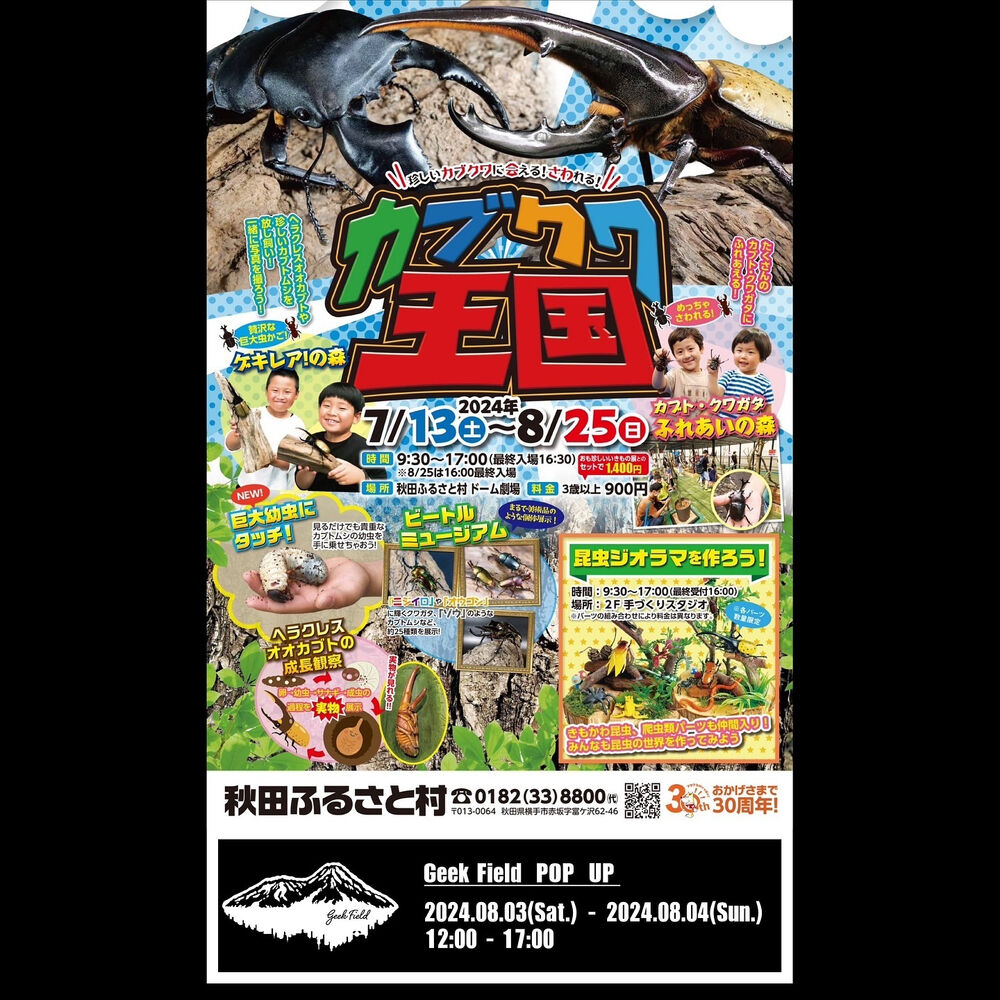 画像3774